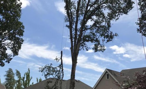 NW Arbor Barber LLC 1271 OR-99W, McMinnville Oregon 97128