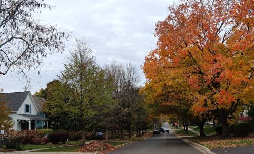 Royal Tile and Stone