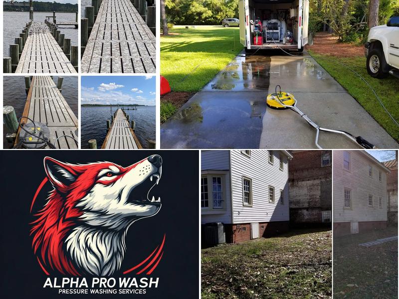 Alpha Pro Wash