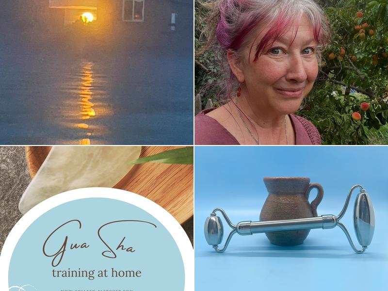 Colleen Fletcher Wholistic Beauty