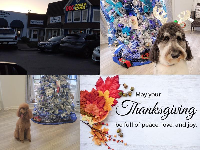 Emily and Eli’s Dog Grooming Salon