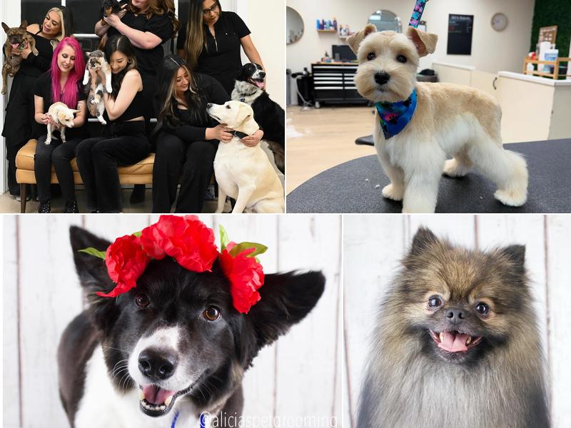 Alicia's Pet Grooming