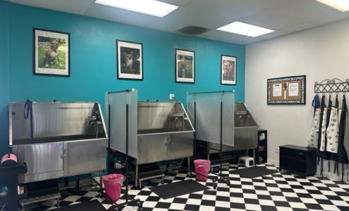 Wet Paws 2525 Lake Ave #2, Altadena California 91001