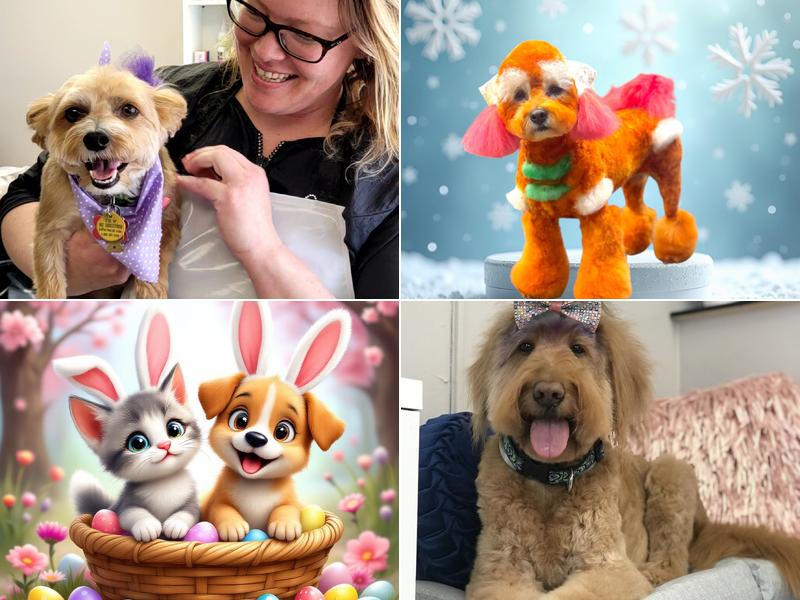 The Punky Pooch Salon & Spa