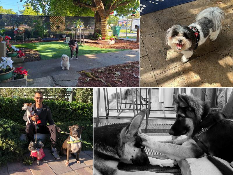 V.I.Pawsitive Pet Services LLC