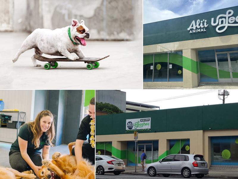 Alii Animal Unleashed