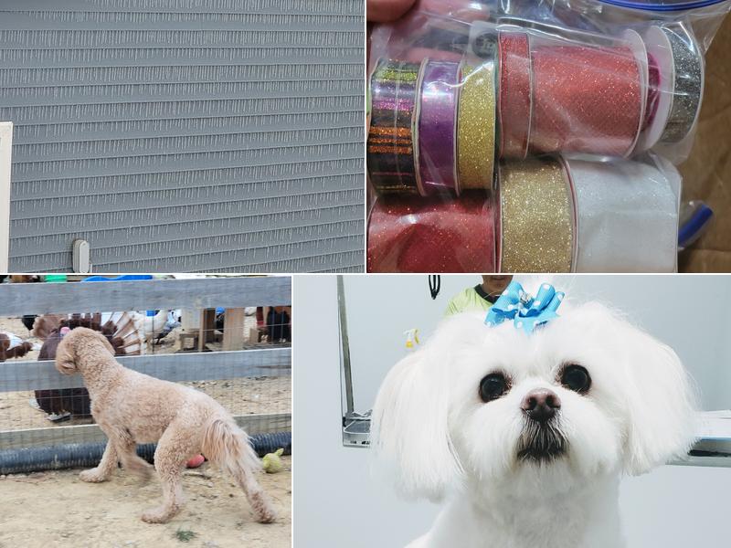 The Barking Barber LLC