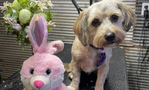 A Diamond in The Sticks Groom and Board LLC 4870 Leix Rd, Mayville Michigan 48744