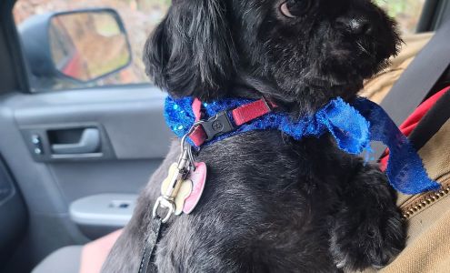 A Step Above Pet Grooming & More LLC.