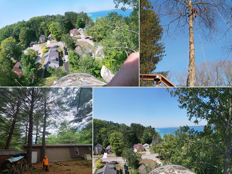 Smoken logs tree removal LLC