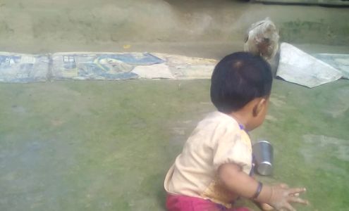 Independence Construction