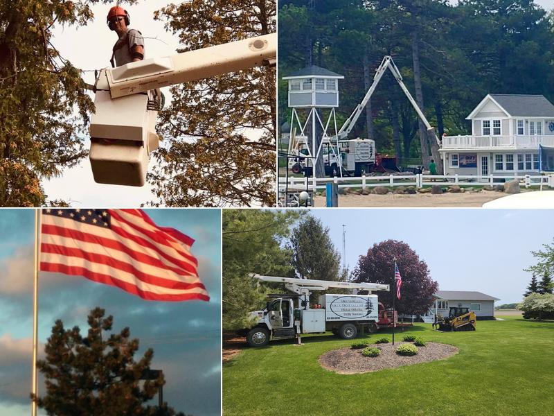 All-American Tree Service