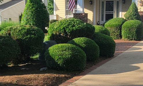 B.Long Landscaping