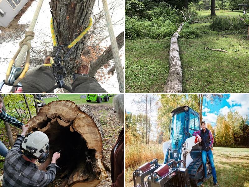 Martin Tree Solutions