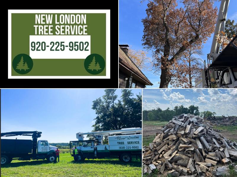 New London Tree Services
