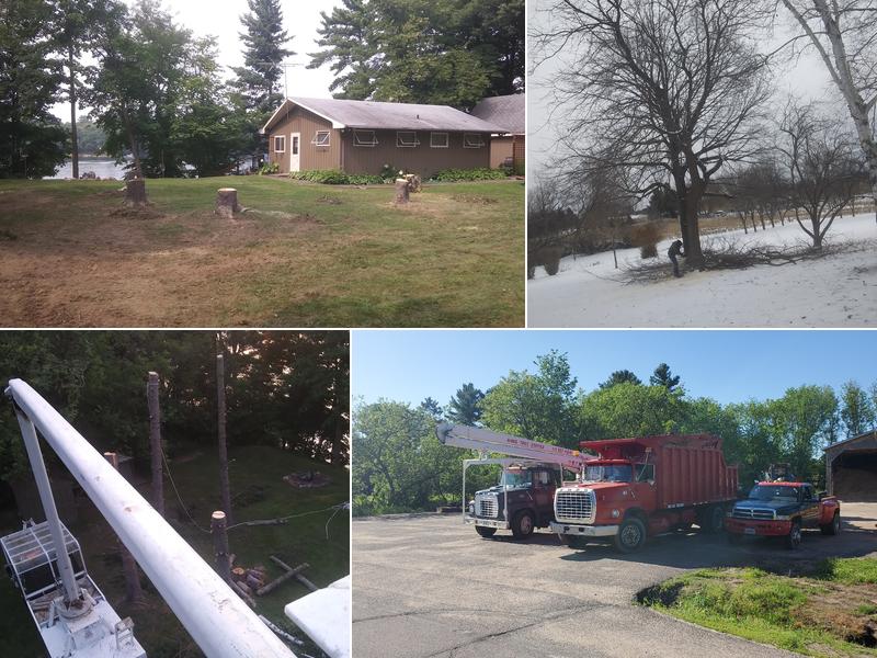 Ninke Tree Service - Tree Removal