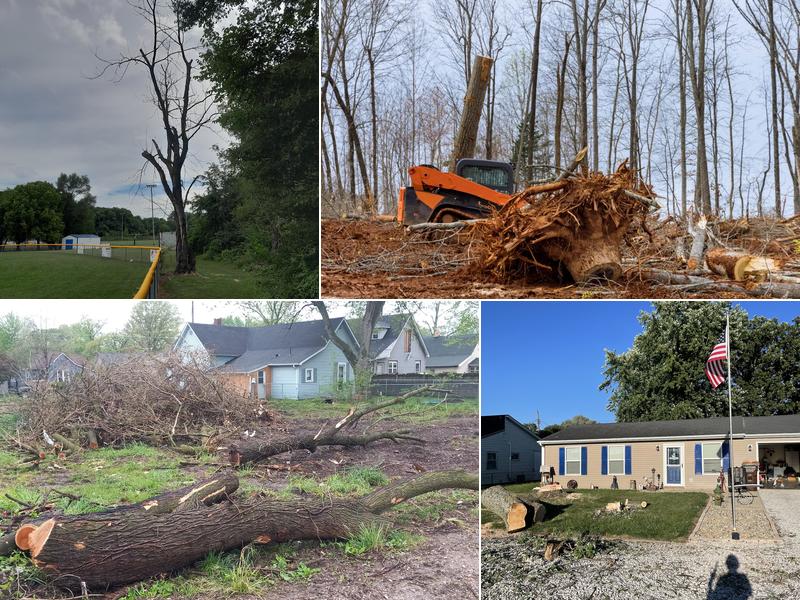 Herman Tree Service & Land Clearing, LLC