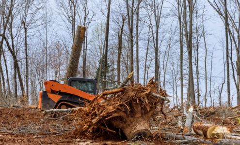 Herman Tree Service & Land Clearing, LLC 1920 Frisco Ave, Terre Haute Indiana 47805