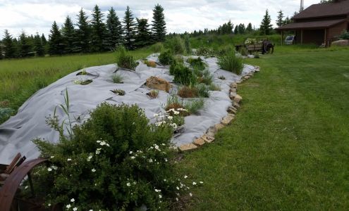Little Guy Landscaping & Excavation