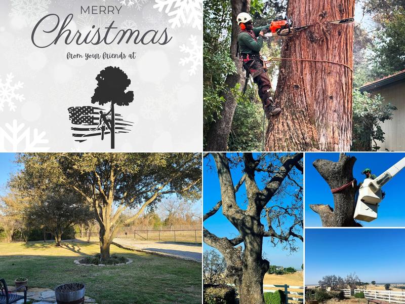 All green tree service