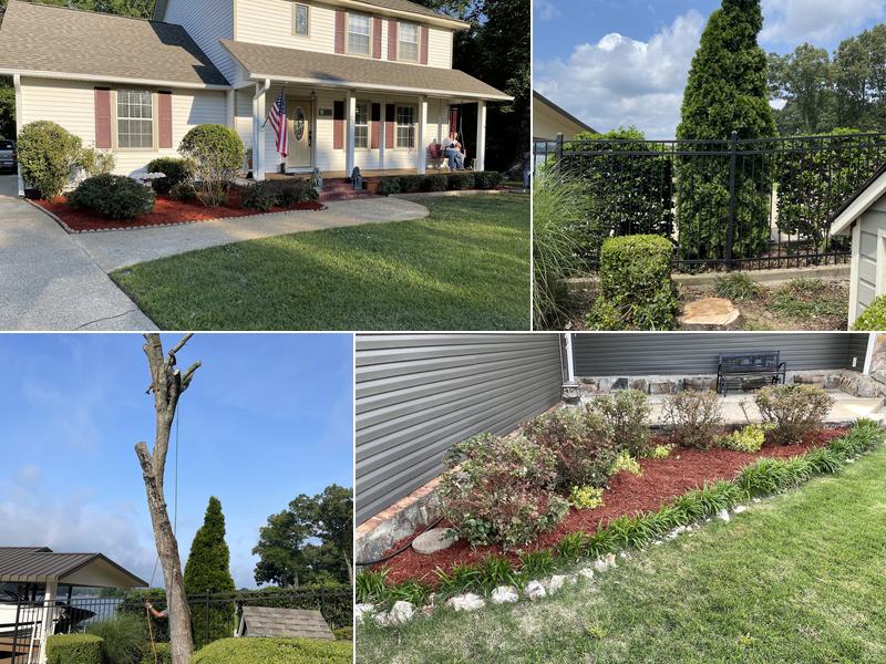 Vasquez Lawn & Tree Service