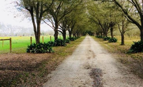 Bob's Tree Preservation 740 S Main St, Church Point Louisiana 70525