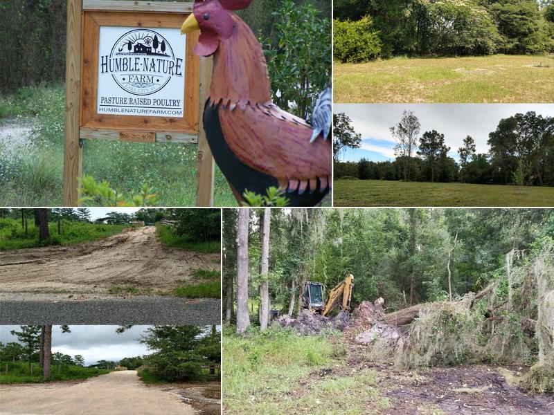 Mow Hog Mowing and Grading, LLC