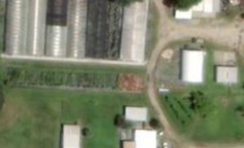 Paradise Plantscapes Inc