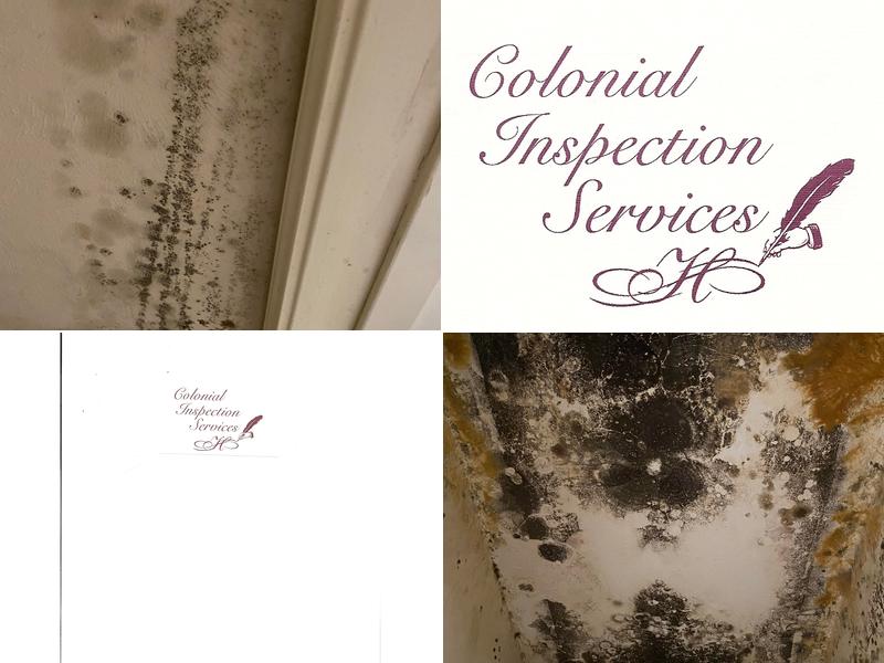 Colonial Inspections Services, LLC