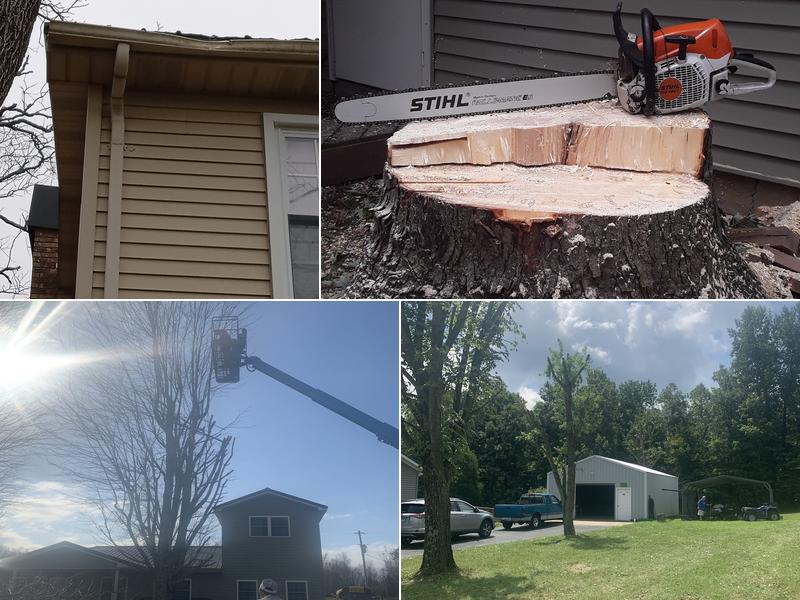 Warner's Tree Service