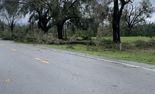 Southern Grace Tree Experts LLC