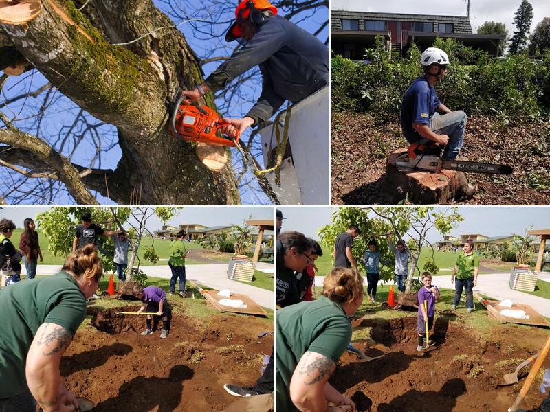 Mother Earth Tree Service