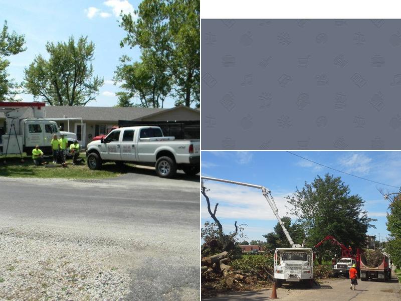 Clean Sweep Tree Service LLC