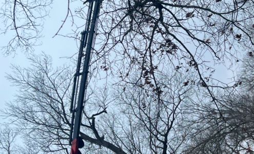 Straight cut tree service LLC 9922 N Royal Center Pike, Royal Center Indiana 46978