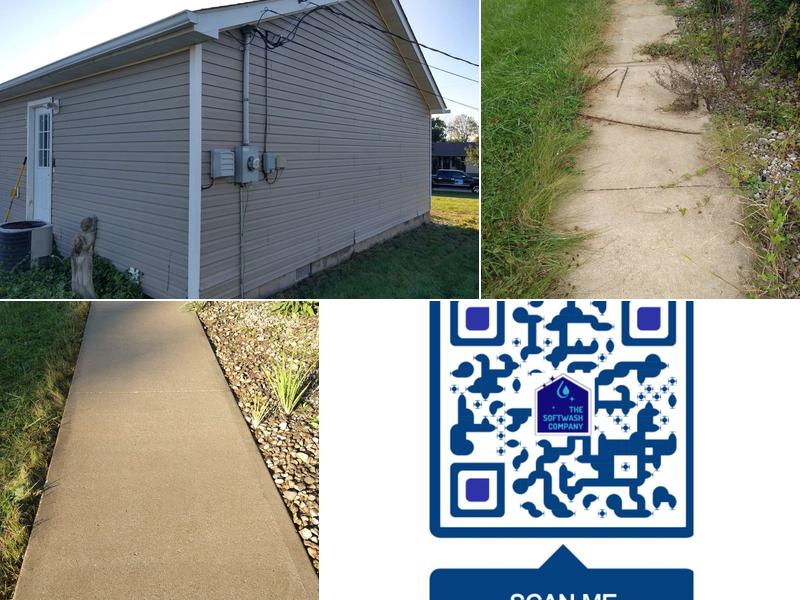 The SoftWash Company