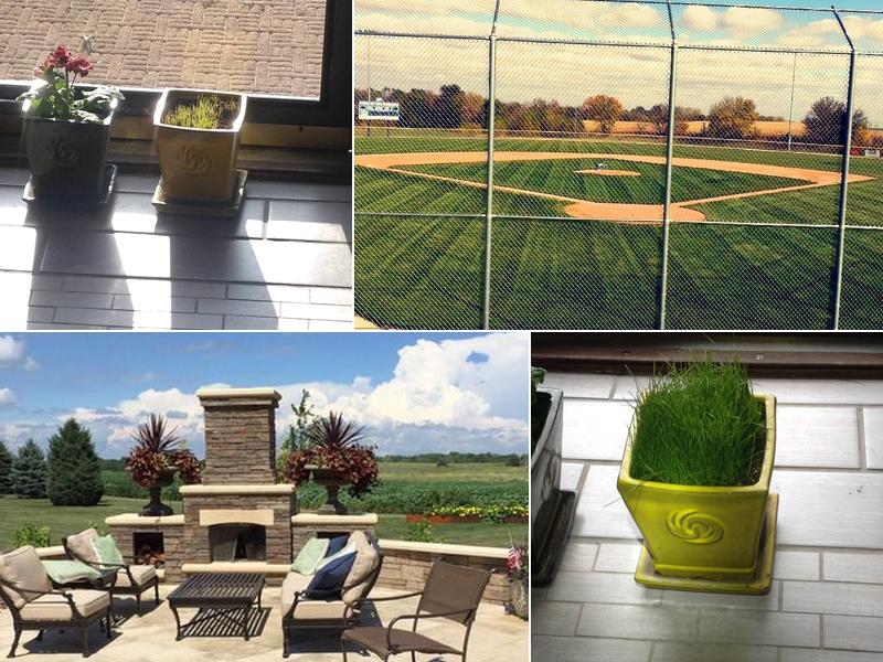 No Lawn Left Behind LLC