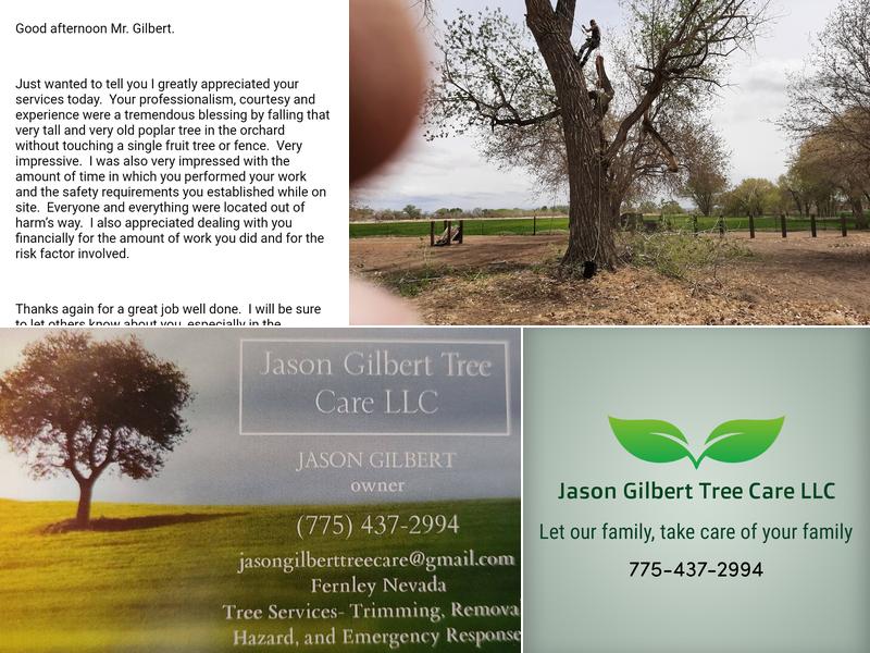 Jason Gilbert Tree Care LLC