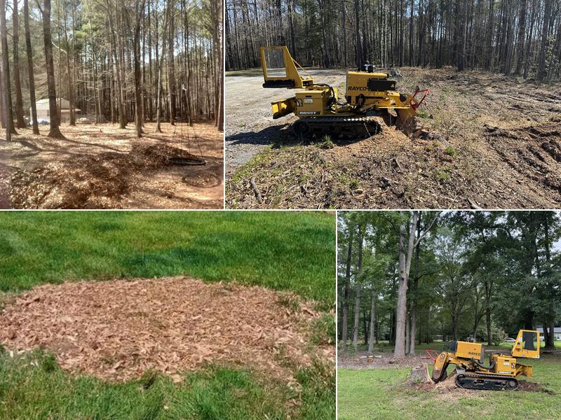 Santana Stump Grinding of Mcdonough