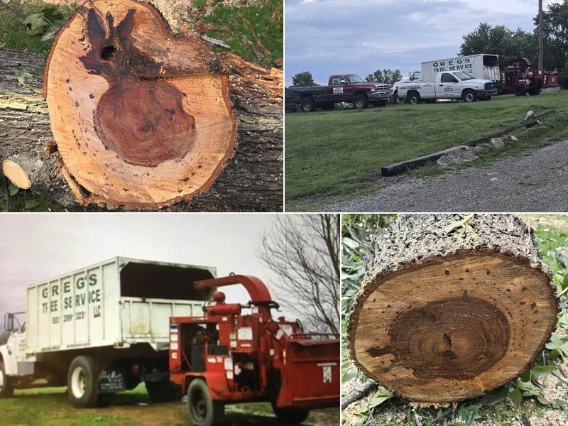 Greg’s Tree Service LLC