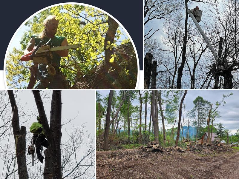 Preston Stump and Tree Removal