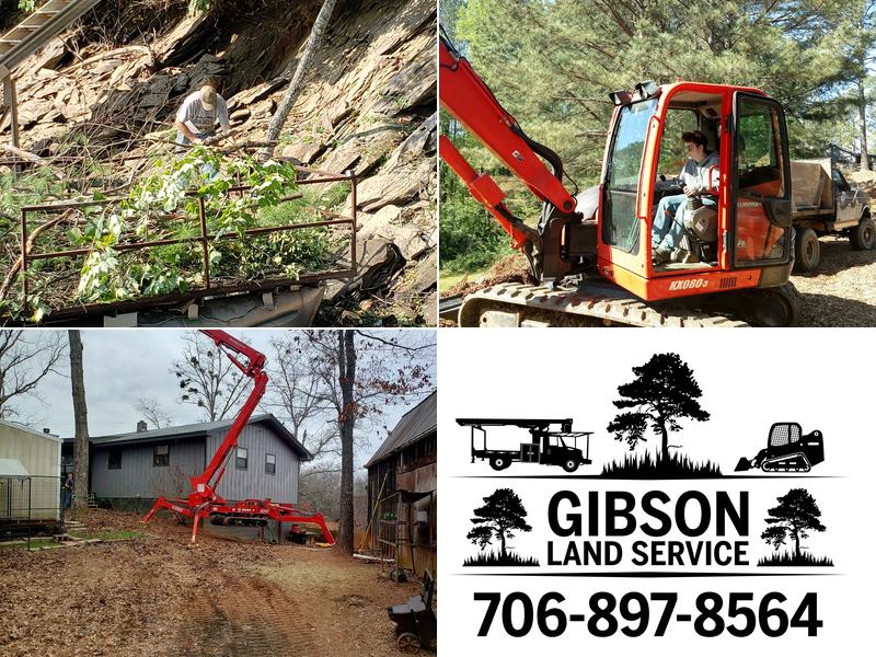 Gibson Tree/Land Service (Travis Gibson)