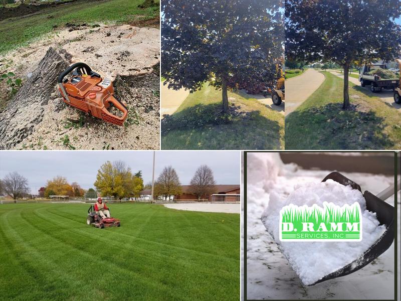 D. Ramm Services & Stump Grinding