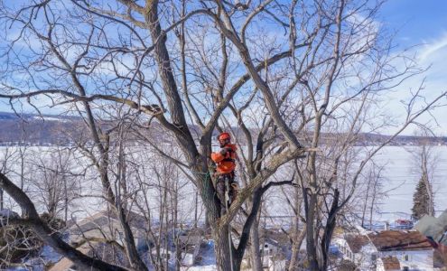 Cousins Tree LLC 6995 Coy Rd, Livonia New York 14487