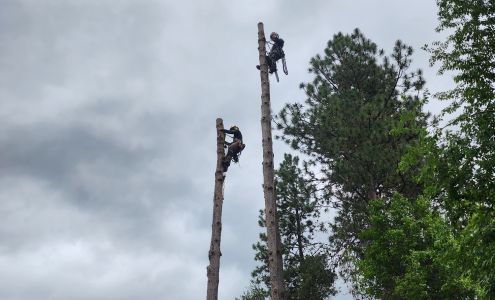 Craft Tree Care
