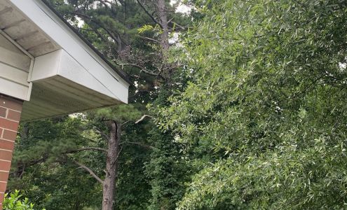 TimberPro Tree Service LLC.