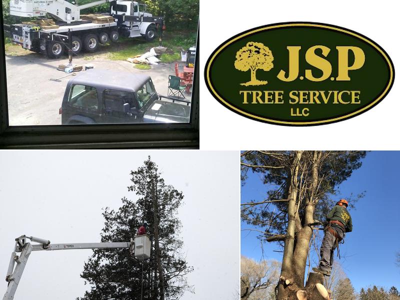 Jsp Tree Service
