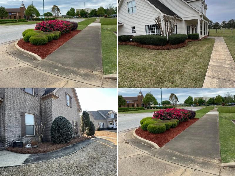 Blankenship Lawn Care and Landscaping