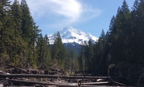 Cascadian Home Inspection 66145 E Mountain Air Dr, Brightwood Oregon 97011