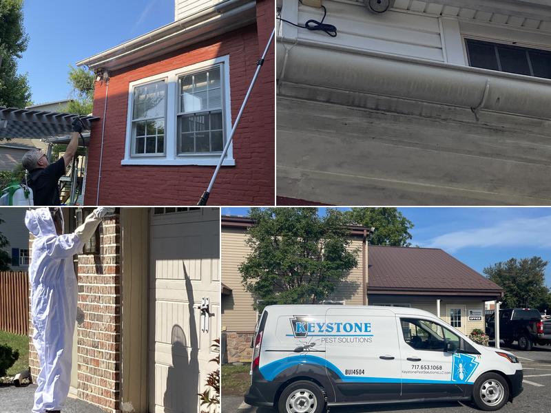 Keystone Pest Solutions, LLC