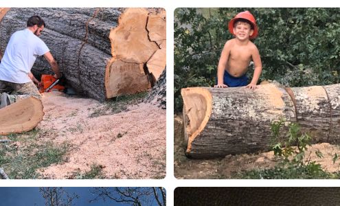 Walker & Son Tree Service LLC 8 Tincamp Ln, Busy Kentucky 41723